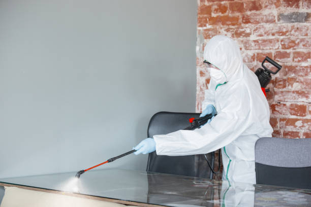  , USA Mold Removal & Remediation Pros